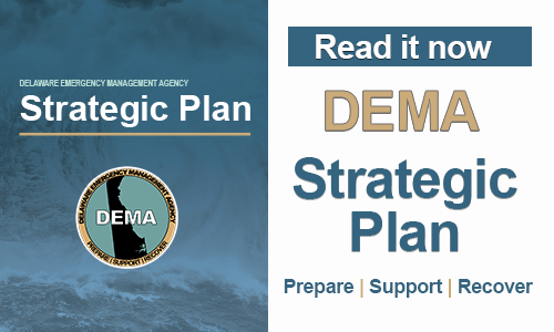 DEMA Strategic Plan 2024-2028