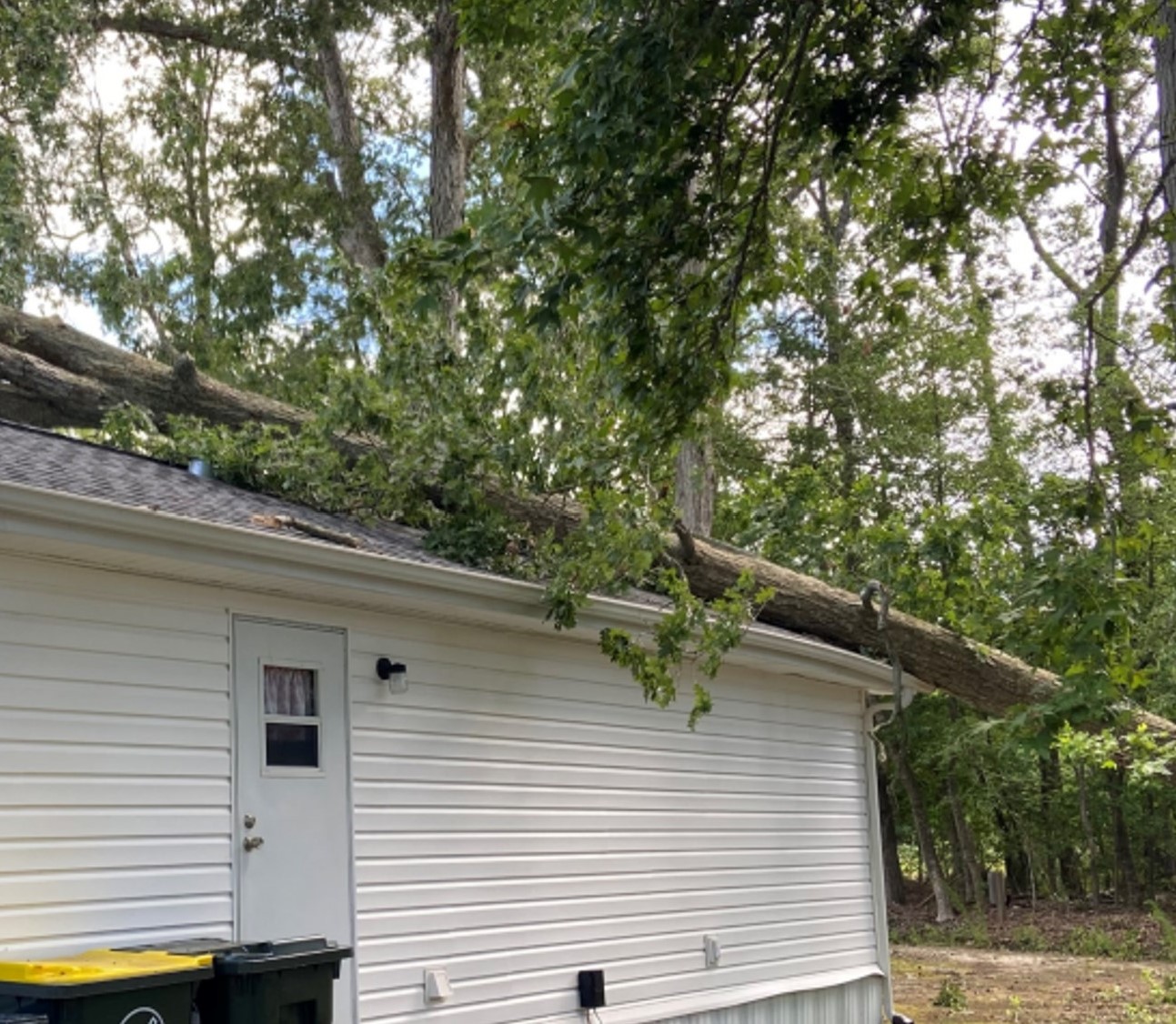 Tree fallen on roof.